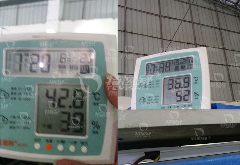 施工前后室内温度对比图